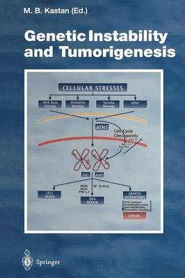 bokomslag Genetic Instability and Tumorigenesis