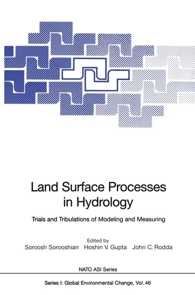 Soroosh Sorooshian, Hoshin V. Gupta, John C. Rodda - Land Surface Processes in Hydrology, Häftad