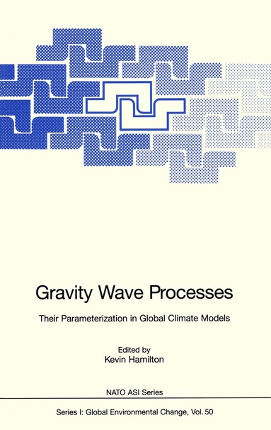 bokomslag Gravity Wave Processes