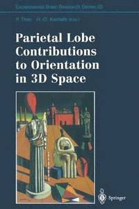 bokomslag Parietal Lobe Contributions to Orientation in 3D Space