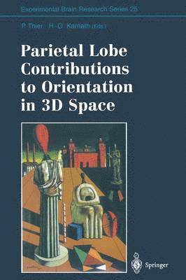 Parietal Lobe Contributions to Orientation in 3D Space 1