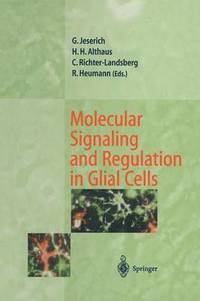bokomslag Molecular Signaling and Regulation in Glial Cells