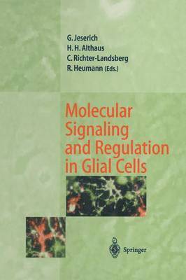 Molecular Signaling and Regulation in Glial Cells 1
