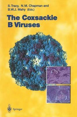 Coxsackie B Viruses