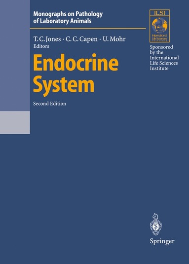 bokomslag Endocrine System