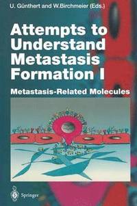 bokomslag Attempts to Understand Metastasis Formation I