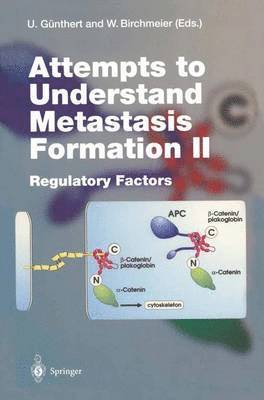 Ursula Günthert, Walter Birchmeier - Attempts to Understand Metastasis Formation II, Häftad