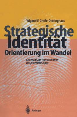 bokomslag Strategische Identität - Orientierung im Wandel