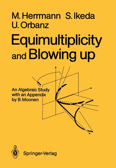 Manfred Herrmann, Shin Ikeda, Ulrich Orbanz - Equimultiplicity and Blowing Up, Häftad