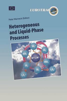 Heterogeneous and Liquid Phase Processes 1