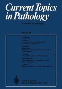 bokomslag Current Topics in Pathology / Ergebnisse der Pathologie
