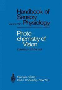 bokomslag Photochemistry of Vision