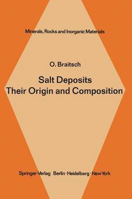 bokomslag Salt Deposits Their Origin and Composition