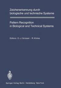bokomslag Zeichenerkennung durch biologische und technische Systeme / Pattern Recognition in Biological and Technical Systems
