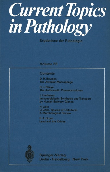 H.-W. Altmann, K. Benirschke, A. Bohle, K. M. Brinkhous, P. Cohrs, H. Cottier, M. Eder, P. Gedigk, W. Giese, Chr. Hedinger, S. Iijima, W. H. Kirsten, I. Klatzo, K. Lennert, H. Meessen, W. Sandritter, G. Seifert, H. C. Stoerk, H. U. Zollinger - Current Topics in Pathology / Ergebnisse der Pathologie, Häftad