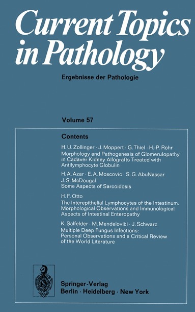Ekkehard Grundmann, Werner H. Kirsten - Current Topics in Pathology / Ergebnisse der Pathologie, Häftad