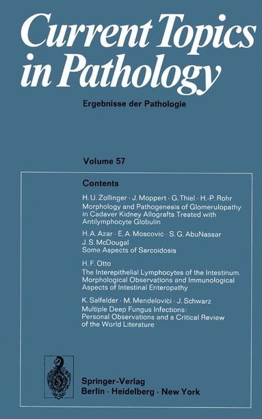 bokomslag Current Topics in Pathology / Ergebnisse der Pathologie