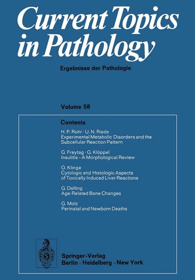 Ekkehard Grundmann, Werner H. Kirsten - Current Topics in Pathology 58, Häftad