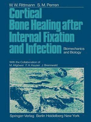 Cortical Bone Healing after Internal Fixation and Infection 1