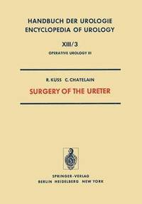 bokomslag Surgery of the Ureter