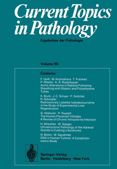 bokomslag Current Topics in Pathology / Ergebnisse der Pathologie