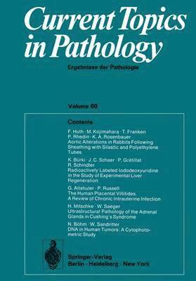 E. Grundmann, W. H. Kirsten - Current Topics in Pathology / Ergebnisse der Pathologie, Häftad
