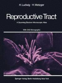 bokomslag The Human Female Reproductive Tract