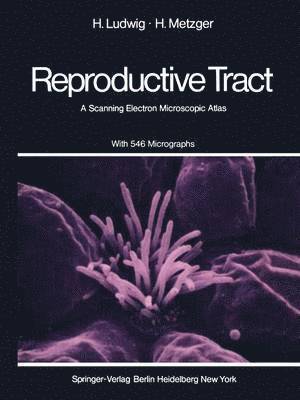 The Human Female Reproductive Tract 1