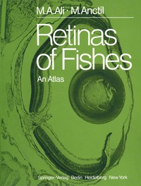 bokomslag Retinas of Fishes