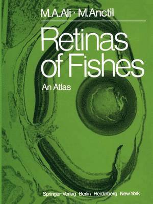 Retinas of Fishes 1