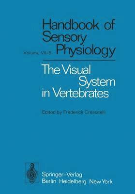 The Visual System in Vertebrates 1