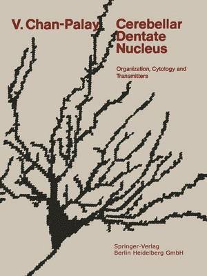 Cerebellar Dentate Nucleus 1