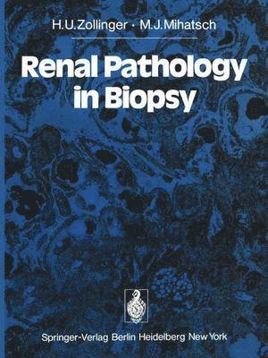 Renal Pathology in Biopsy 1