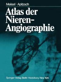 bokomslag Atlas der Nierenangiographie