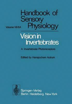 bokomslag Comparative Physiology and Evolution of Vision in Invertebrates