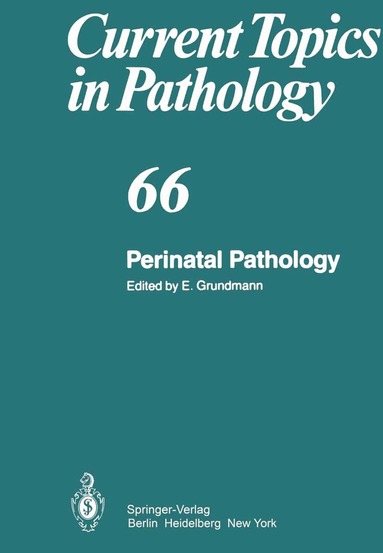 E. Grundmann - Perinatal Pathology, Häftad