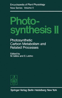 Photosynthesis II 1