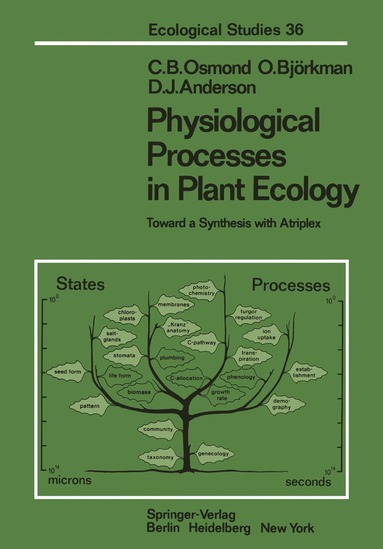 bokomslag Physiological Processes in Plant Ecology