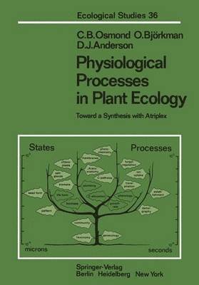 Physiological Processes in Plant Ecology