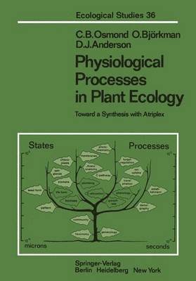 Physiological Processes in Plant Ecology 1