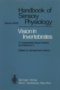 bokomslag Comparative Physiology and Evolution of Vision in Invertebrates