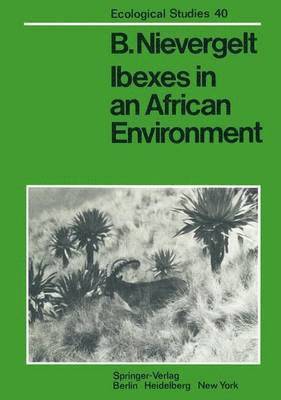 Ibexes in an African Environment 1