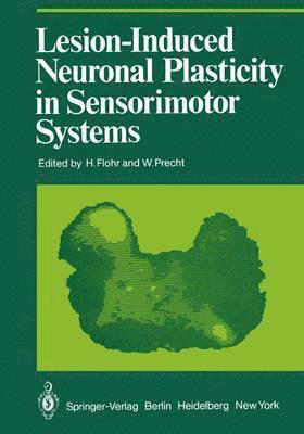 bokomslag Lesion-Induced Neuronal Plasticity in Sensorimotor Systems