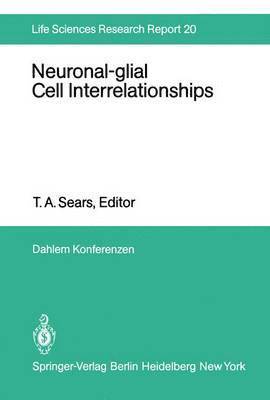 Neuronal-glial Cell Interrelationships 1