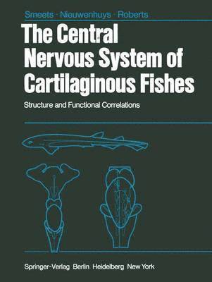 Central Nervous System of Cartilaginous Fishes