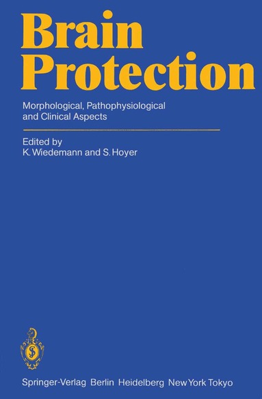 K. Wiedemann, S. Hoyer - Brain Protection, Häftad