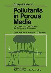 bokomslag Pollutants in Porous Media