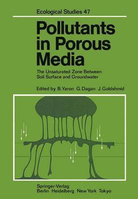 Pollutants in Porous Media 1