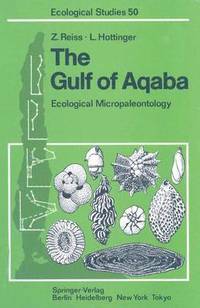 bokomslag The Gulf of Aqaba