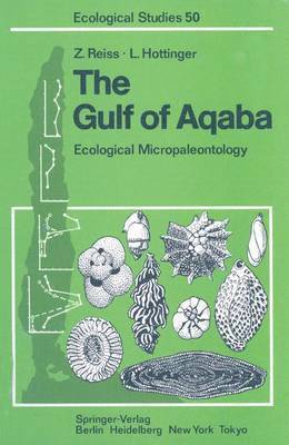 The Gulf of Aqaba 1